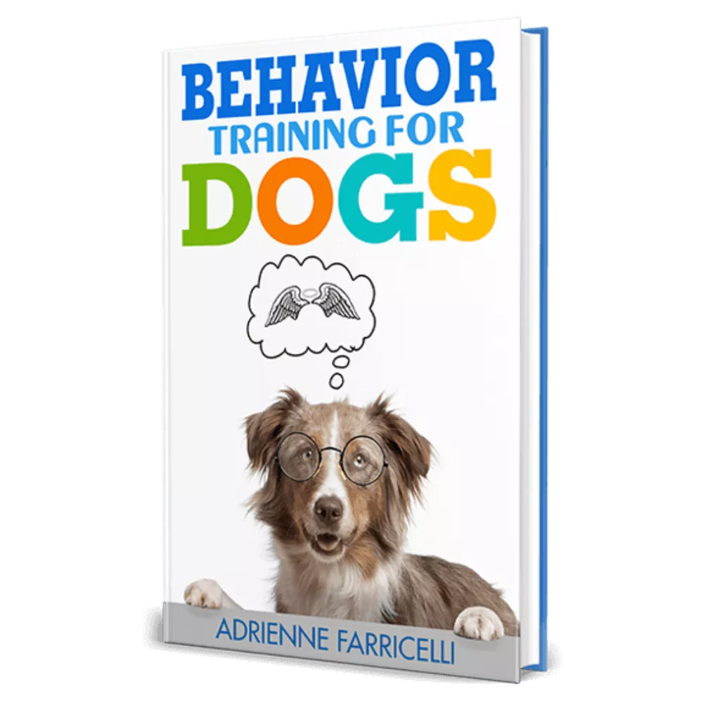 Your Dog's Potential with Brain Training 4 Dogs