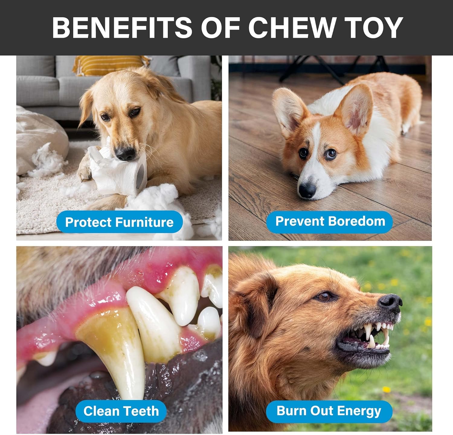 PrimePets Dog Chew Toy, Squeaky Dog Toy for Large Medium Dogs, Blue Rubber Enrichment Toy for Interactive Play, Teeth Cleaning, Milk Flavored Dental Chew Toy - Image 4