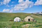 Building Traditions Through Annual Family Camping Trips